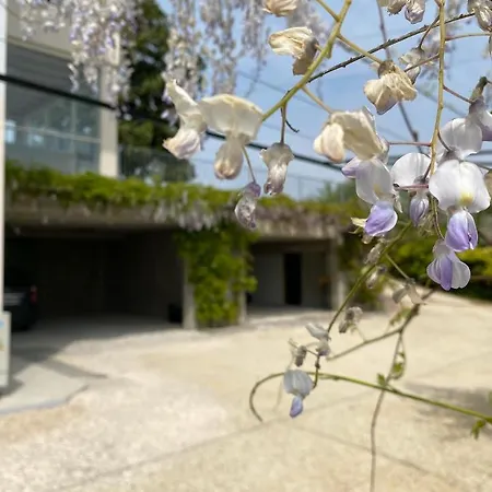 Roseto Holidays Azzurro Bed & Breakfast *