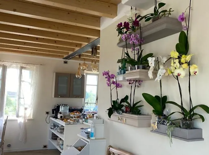 Roseto Holidays Azzurro Bed & Breakfast 3*
