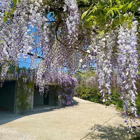 Roseto Holidays Azzurro 卡瓦尔卡瑟勒