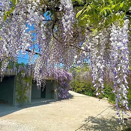 住宿加早餐酒店 Roseto Holidays Azzurro 卡瓦尔卡瑟勒