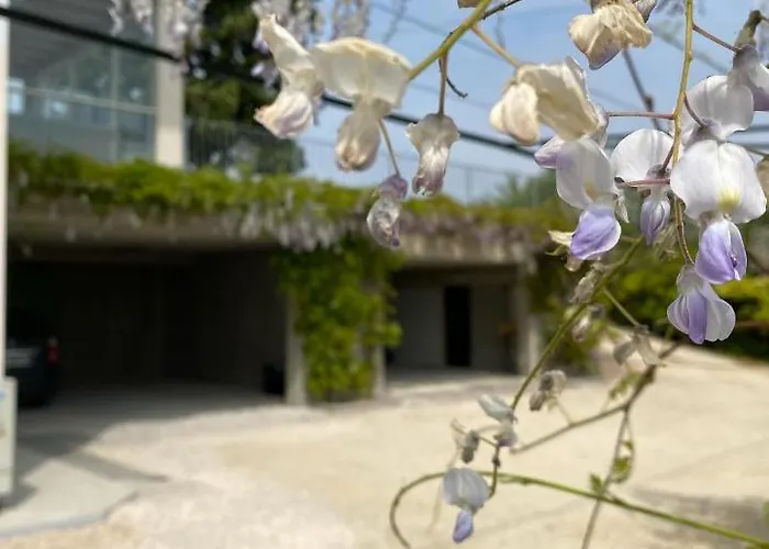 Roseto Holidays Azzurro Bed & Breakfast 4*