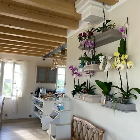 Roseto Holidays Azzurro Bed & Breakfast 3*