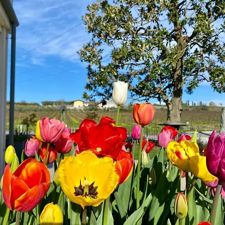 Roseto Holidays Azzurro 3* Cavalcaselle