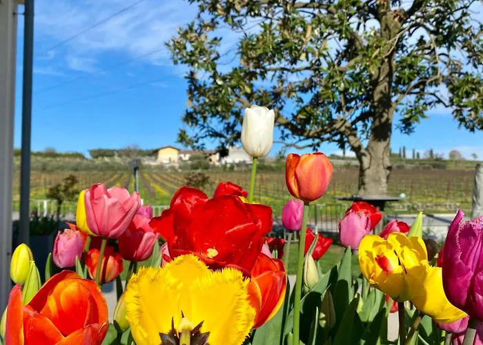 Roseto Holidays Azzurro 3* Cavalcaselle