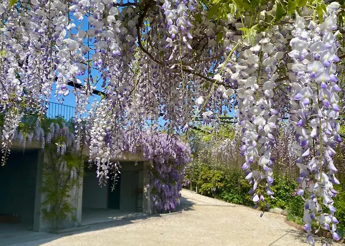 Roseto Holidays Azzurro Cavalcaselle